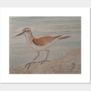 Sandpiper on the Beach Posters and Art